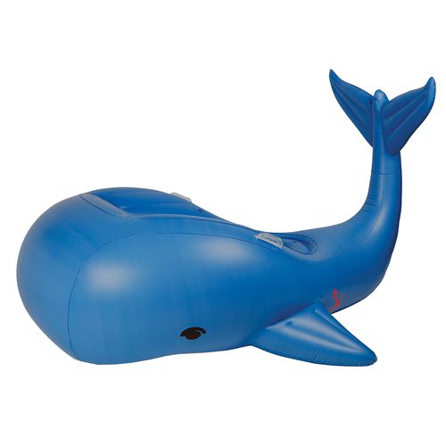 whale pool float