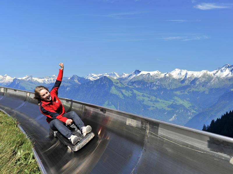 Bucket List: Sliding Down The Swiss Alps!